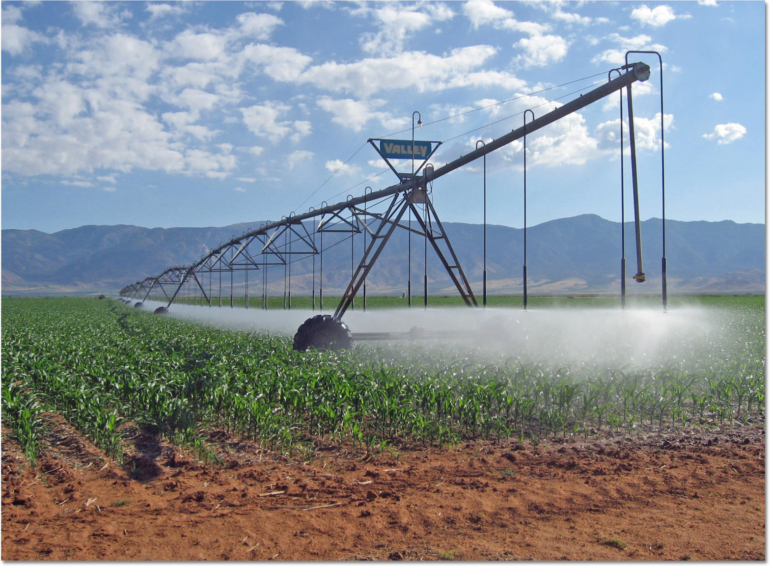 Centre pivot watering a crop